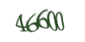 Введите код с изображения