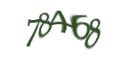 Введите код с изображения