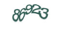 Введите код с изображения