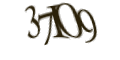 Введите код с изображения
