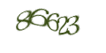 Введите код с изображения
