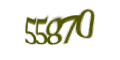 Введите код с изображения