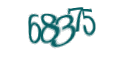 Введите код с изображения