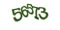 Введите код с изображения
