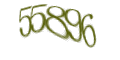 Введите код с изображения