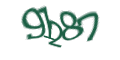 Введите код с изображения