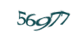 Введите код с изображения