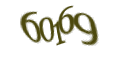Введите код с изображения