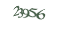 Введите код с изображения