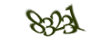 Введите код с изображения