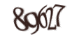 Введите код с изображения