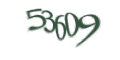 Введите код с изображения