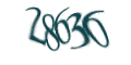 Введите код с изображения