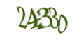 Введите код с изображения