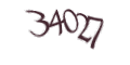 Введите код с изображения