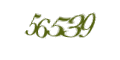 Введите код с изображения