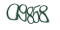 Введите код с изображения
