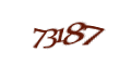 Введите код с изображения