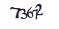 Введите код с изображения