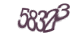 Введите код с изображения