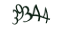 Введите код с изображения