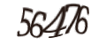 Введите код с изображения