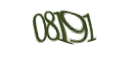 Введите код с изображения
