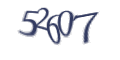 Введите код с изображения
