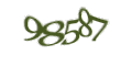 Введите код с изображения
