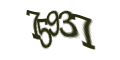 Введите код с изображения