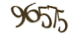 Введите код с изображения