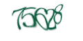 Введите код с изображения